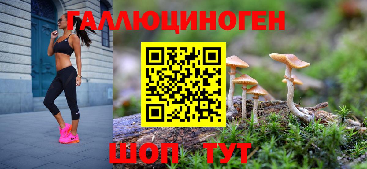 Галлюциногенные грибы Psilocybe  Вход с VPN  Галлюциногенные грибы Psilocybine cubensis  цена наркотик  Сальск 